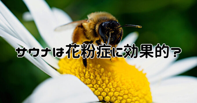 サウナと花粉症の関係性とは？花粉症でもサウナはOK？